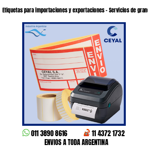 Etiquetas para importaciones y exportaciones – Servicios de grandes envíos