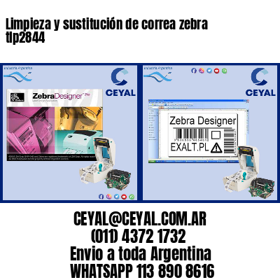 Limpieza y sustitución de correa zebra tlp2844