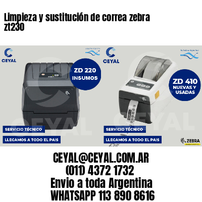 Limpieza y sustitución de correa zebra zt230