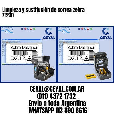 Limpieza y sustitución de correa zebra zt230