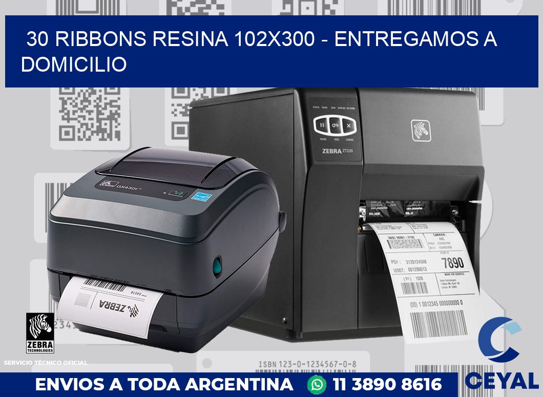 30 Ribbons resina 102x300 - entregamos a domicilio