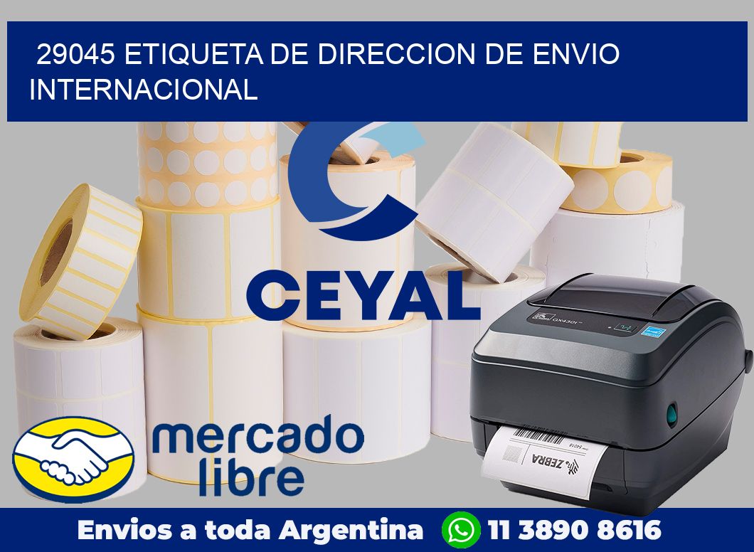 29045 Etiqueta de direccion de envio internacional