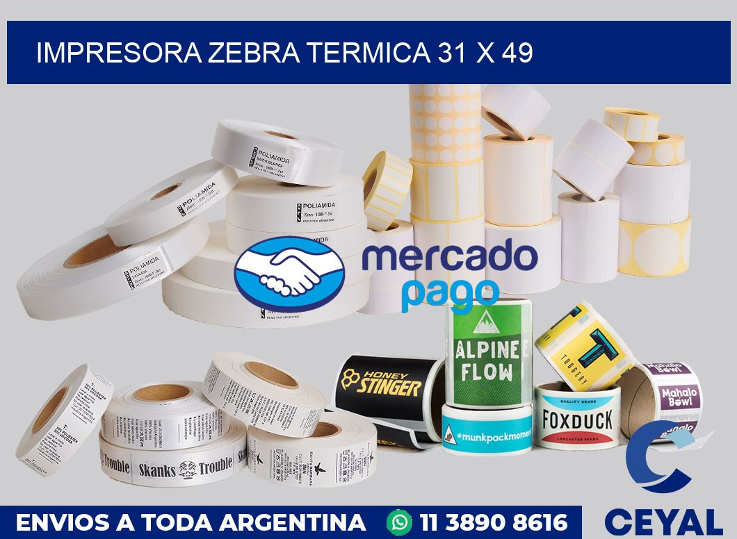 Impresora Zebra termica 31 x 49