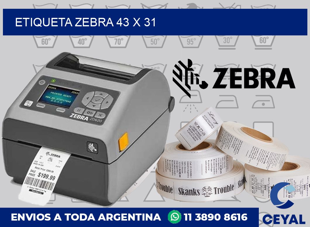 etiqueta zebra 43 x 31