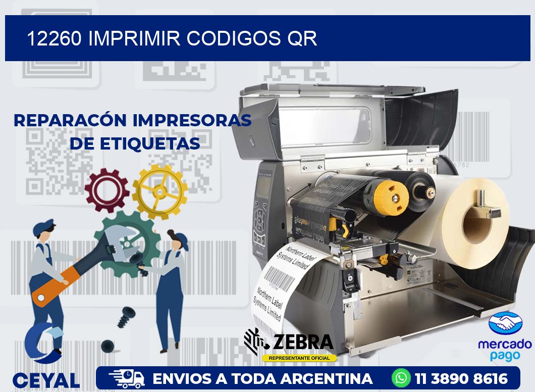 12260 IMPRIMIR CODIGOS QR