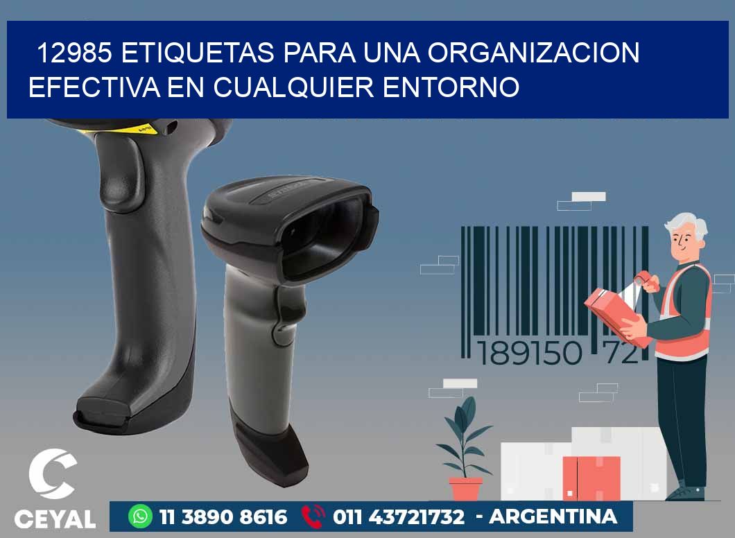 12985 ETIQUETAS PARA UNA ORGANIZACION EFECTIVA EN CUALQUIER ENTORNO