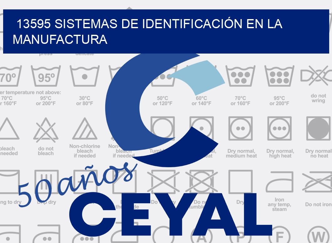 13595 SISTEMAS DE IDENTIFICACIÓN EN LA MANUFACTURA