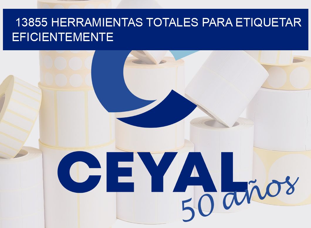 13855 HERRAMIENTAS TOTALES PARA ETIQUETAR EFICIENTEMENTE