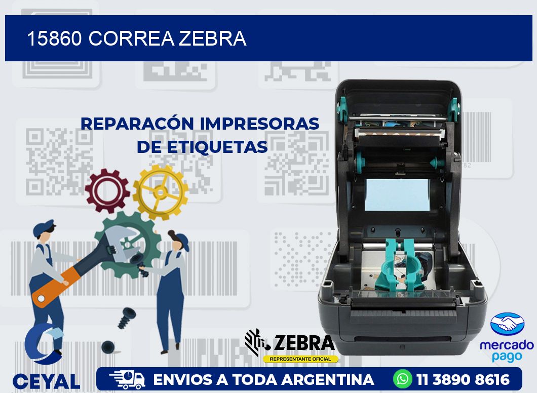 15860 CORREA ZEBRA