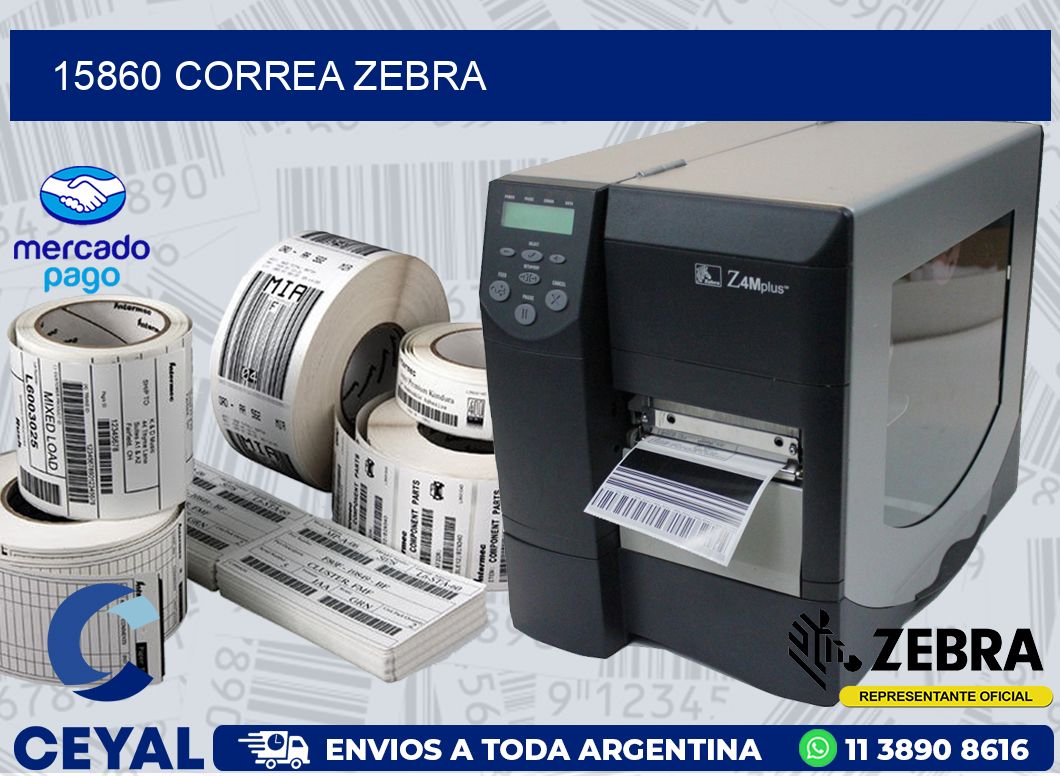 15860 CORREA ZEBRA