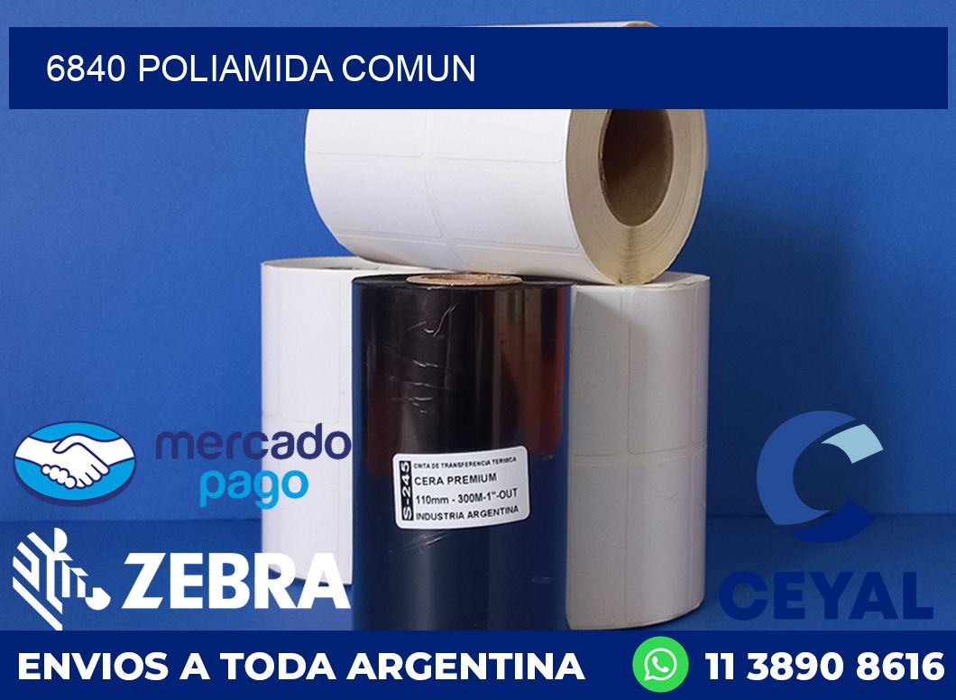 6840 POLIAMIDA COMUN