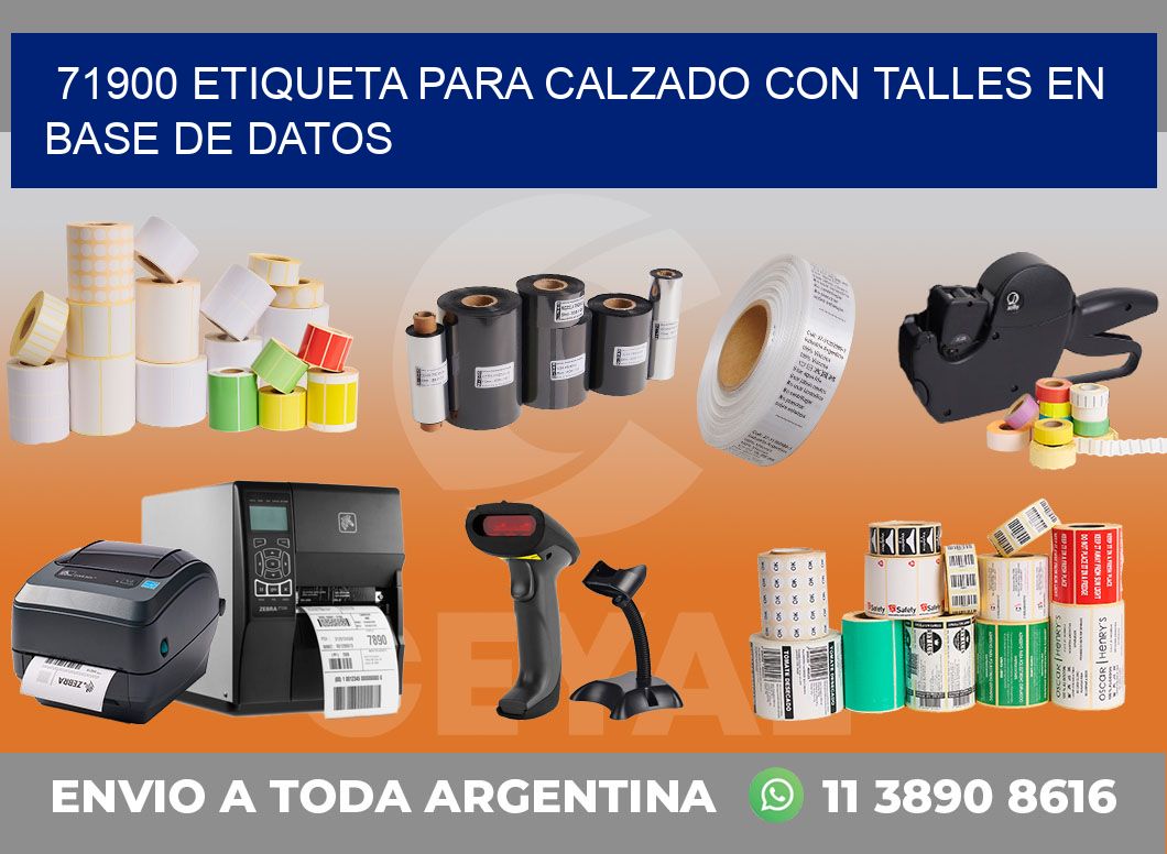 71900 ETIQUETA PARA CALZADO CON TALLES EN BASE DE DATOS