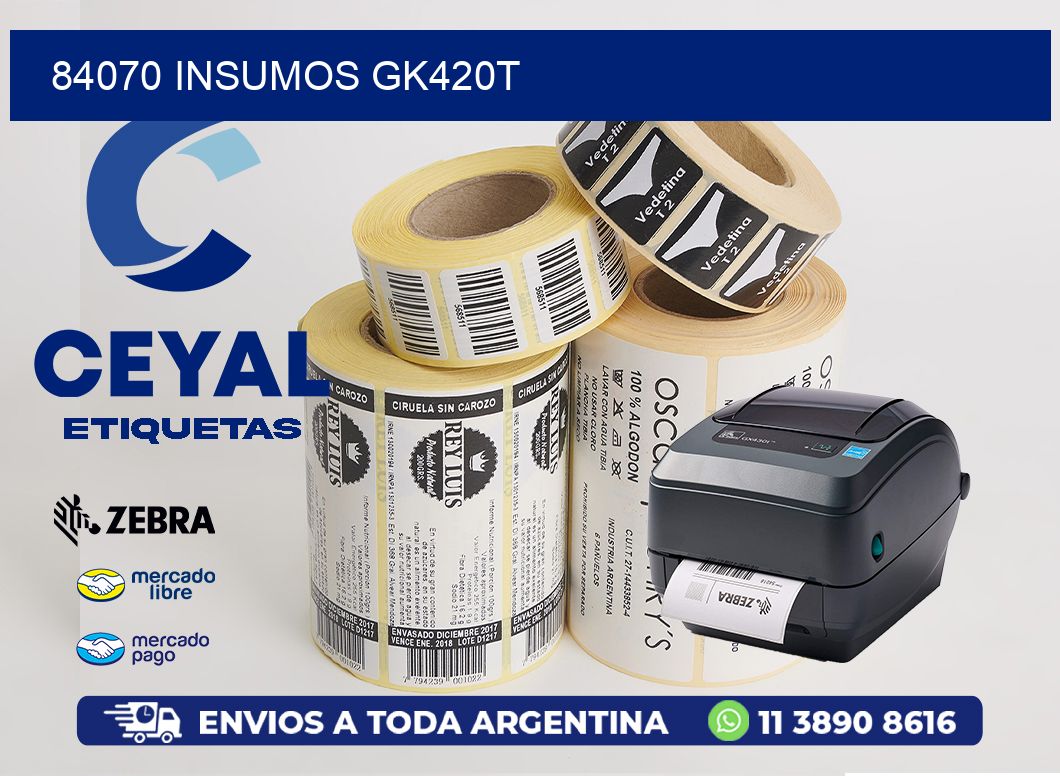 84070 INSUMOS GK420T