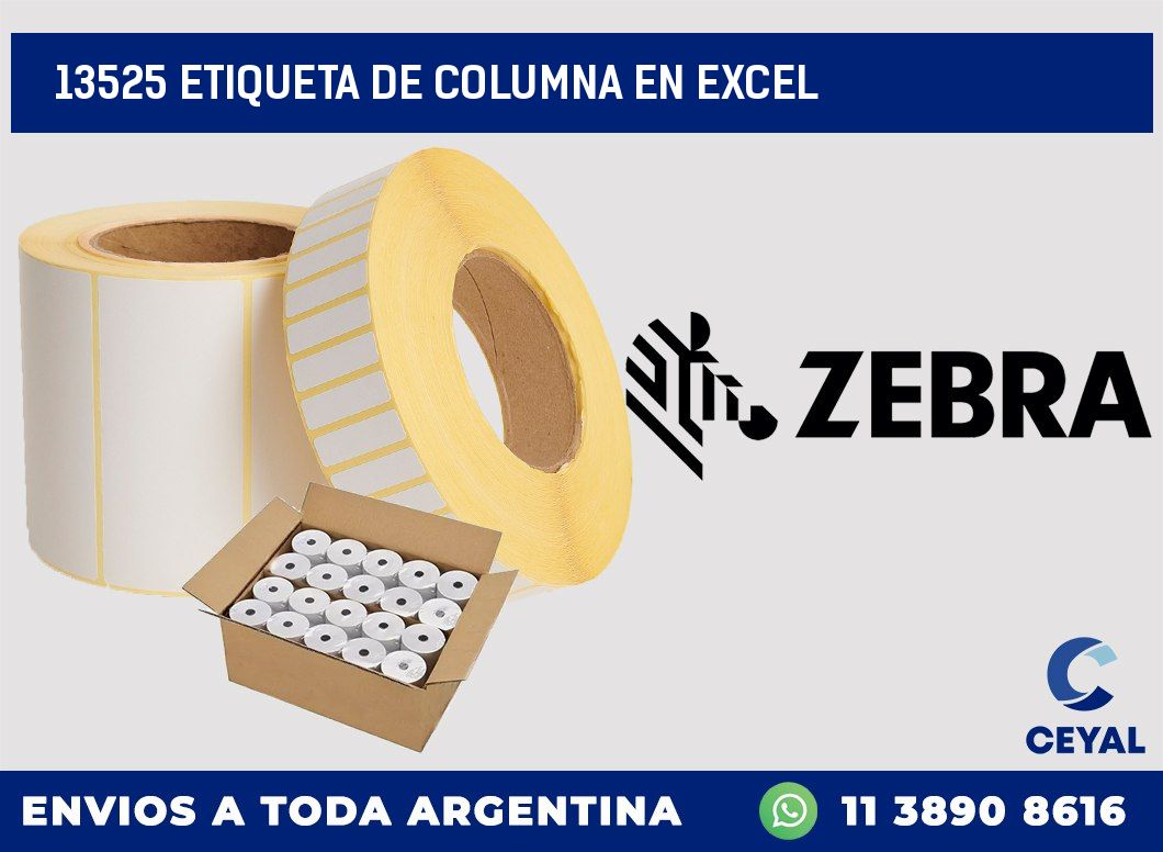 13525 Etiqueta de columna en Excel