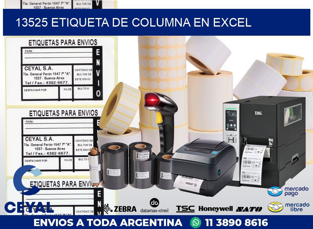 13525 Etiqueta de columna en Excel
