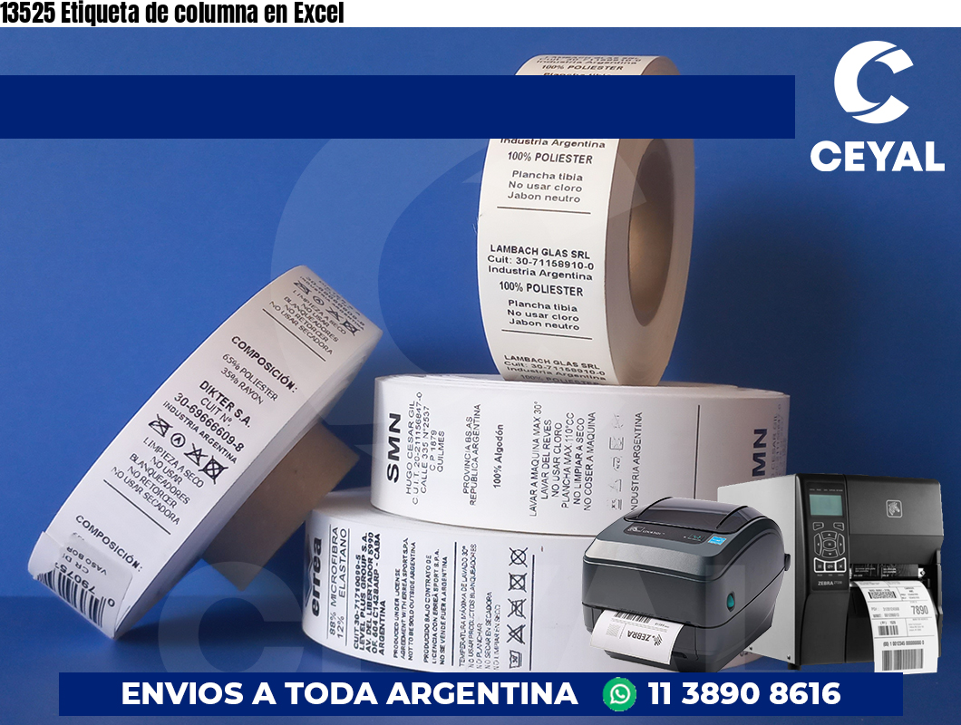 13525 Etiqueta de columna en Excel