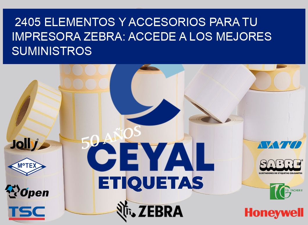 2405 ELEMENTOS Y ACCESORIOS PARA TU IMPRESORA ZEBRA: ACCEDE A LOS MEJORES SUMINISTROS