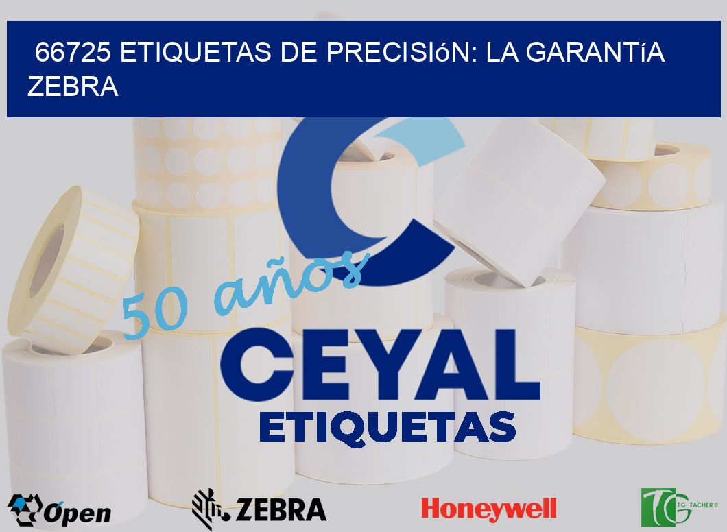 66725 Etiquetas de Precisión: La Garantía Zebra