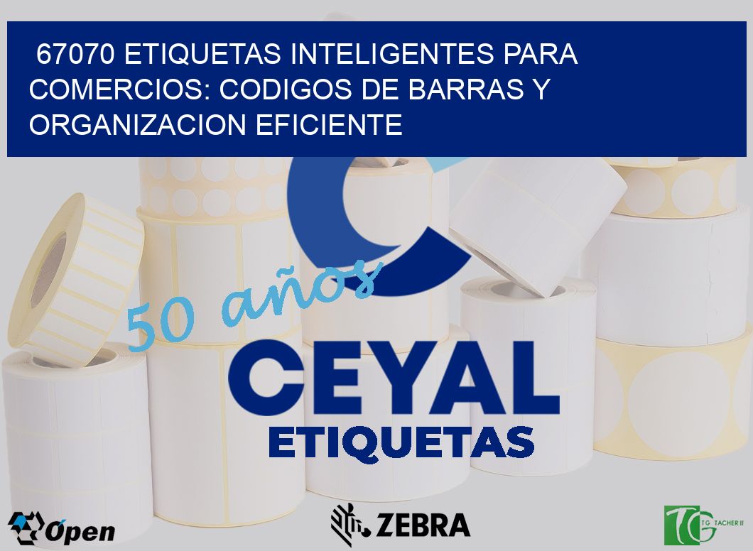 67070 ETIQUETAS INTELIGENTES PARA COMERCIOS: CODIGOS DE BARRAS Y ORGANIZACION EFICIENTE
