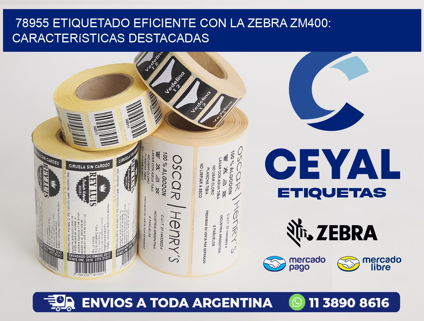 78955 Etiquetado Eficiente con la Zebra ZM400: Características Destacadas