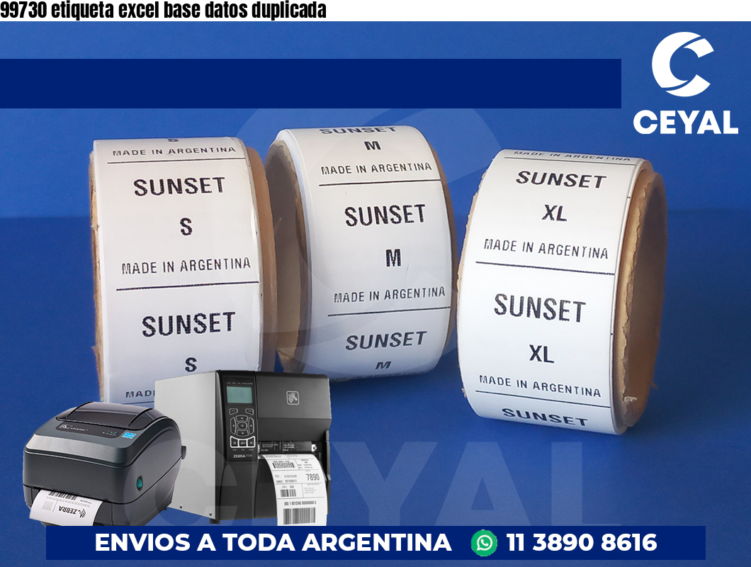 99730 etiqueta excel base datos duplicada
