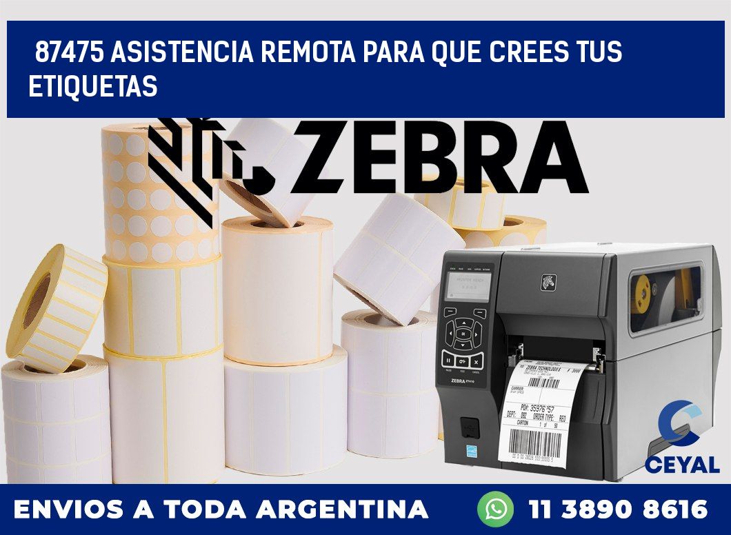 87475 ASISTENCIA REMOTA PARA QUE CREES TUS ETIQUETAS