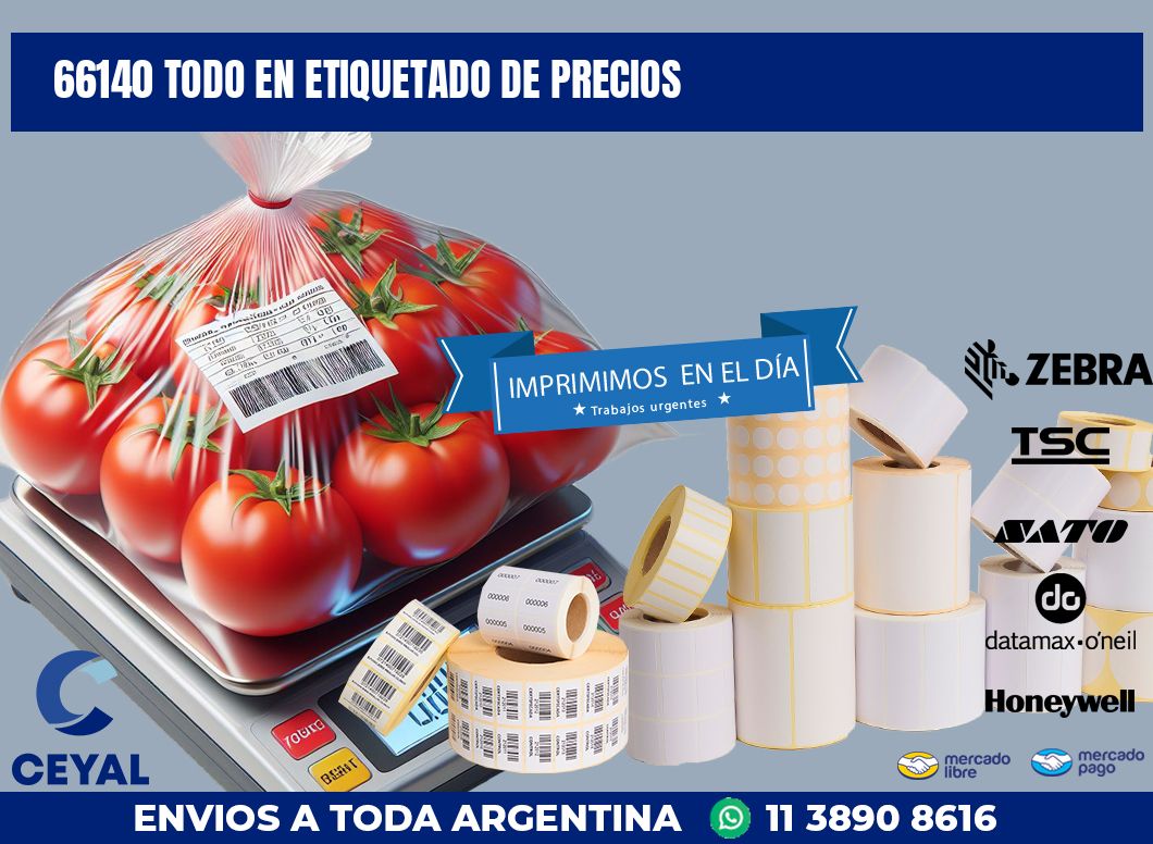 66140 TODO EN ETIQUETADO DE PRECIOS