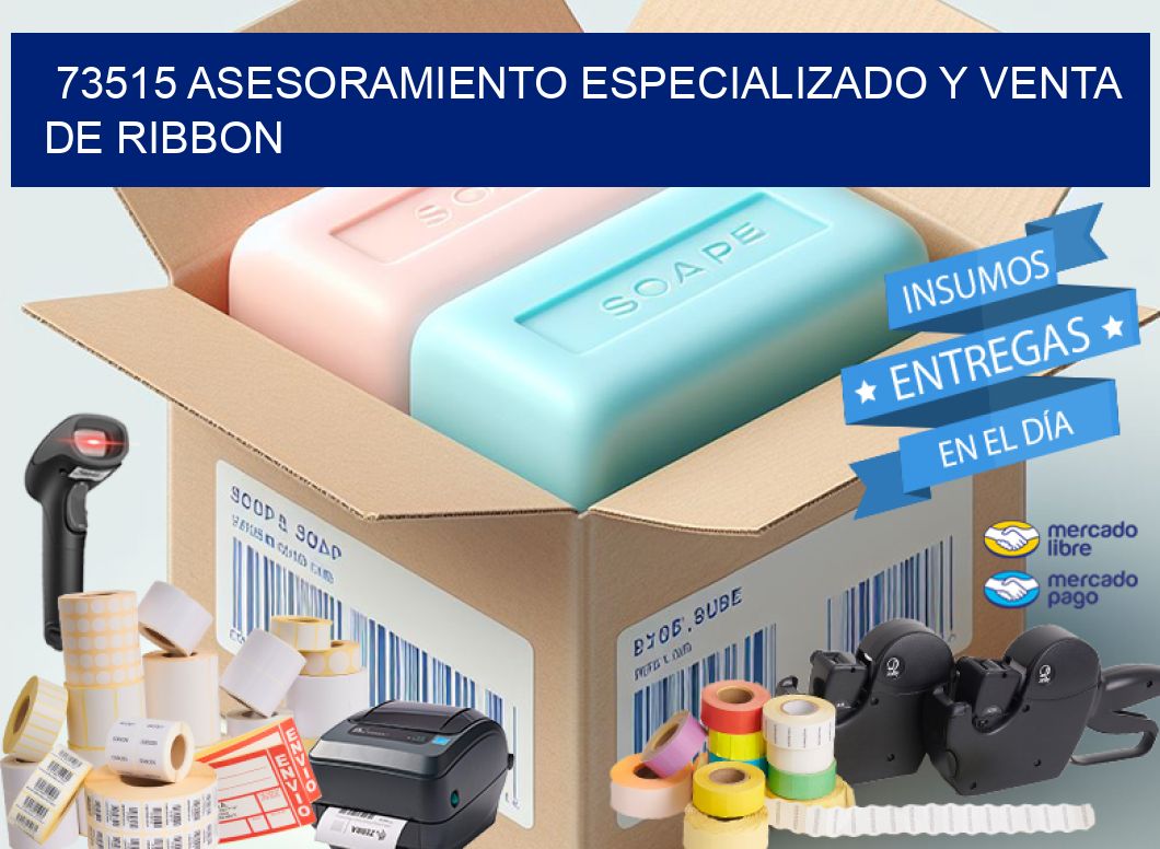 73515 ASESORAMIENTO ESPECIALIZADO Y VENTA DE RIBBON