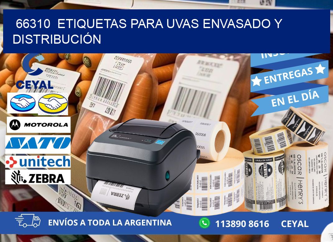 66310  ETIQUETAS PARA UVAS ENVASADO Y DISTRIBUCIÓN