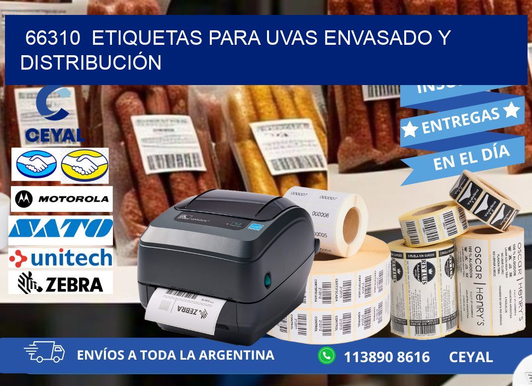 66310  ETIQUETAS PARA UVAS ENVASADO Y DISTRIBUCIÓN