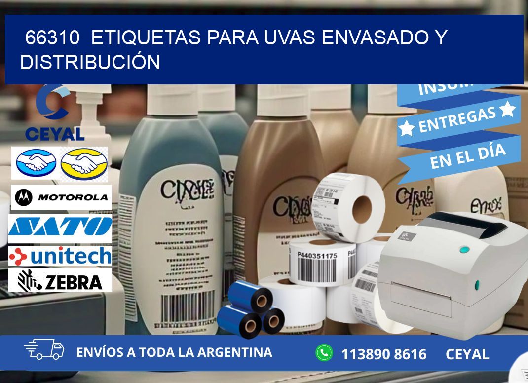 66310  ETIQUETAS PARA UVAS ENVASADO Y DISTRIBUCIÓN