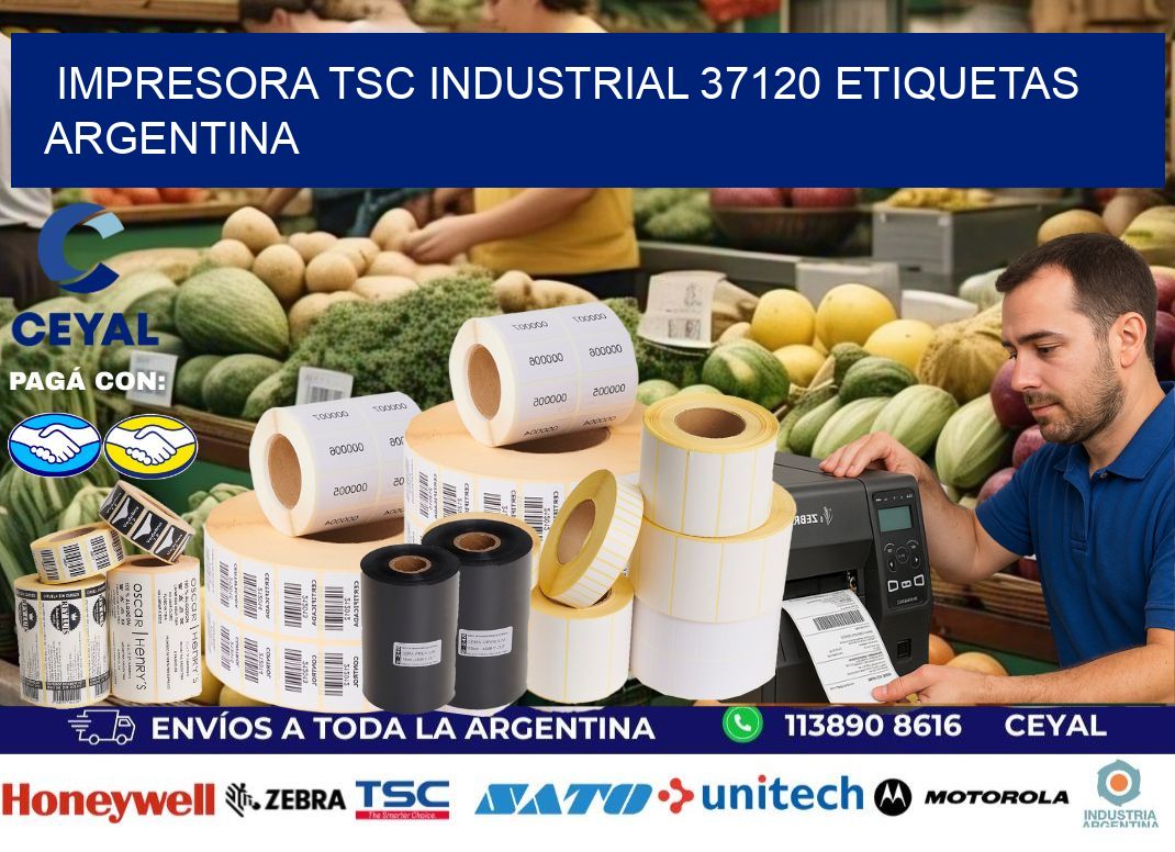 Impresora tsc industrial 37120 etiquetas argentina