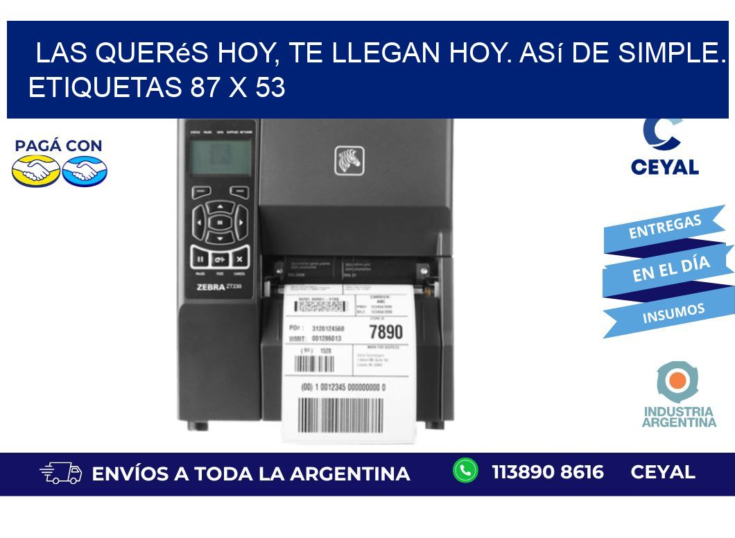 Las Querés Hoy, Te Llegan Hoy. Así de Simple. Etiquetas 87 x 53