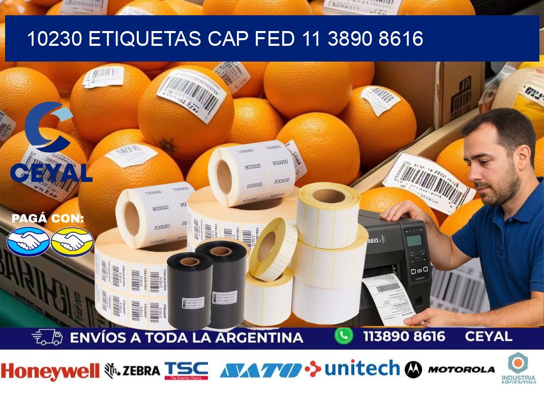 10230 ETIQUETAS CAP FED 11 3890 8616