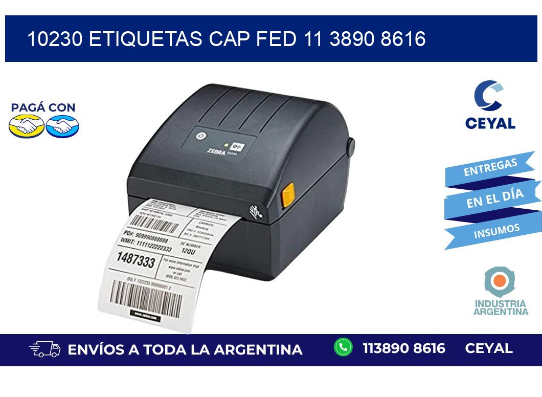 10230 ETIQUETAS CAP FED 11 3890 8616