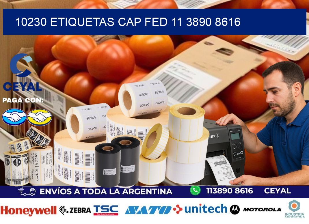 10230 ETIQUETAS CAP FED 11 3890 8616