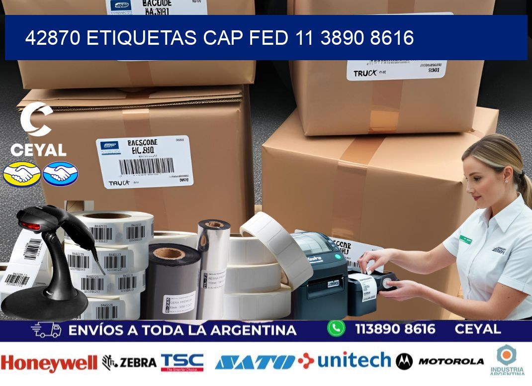 42870 ETIQUETAS CAP FED 11 3890 8616