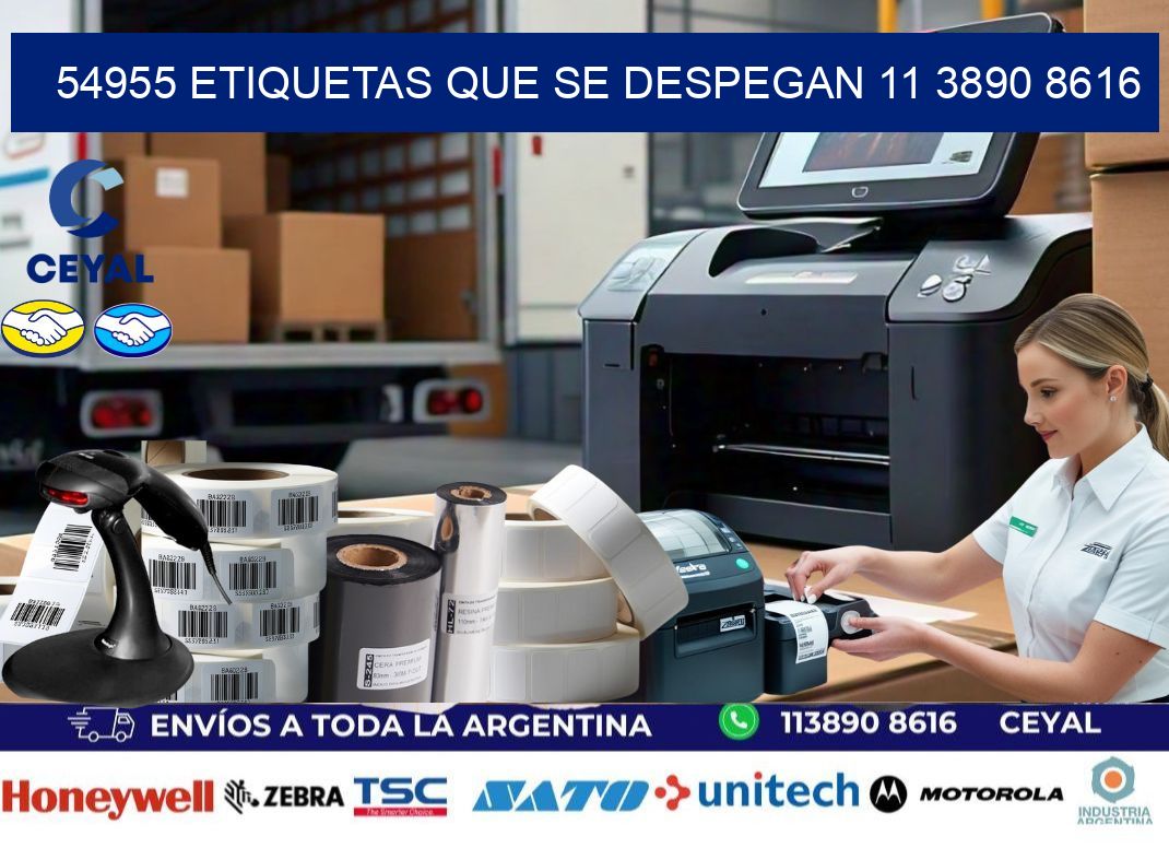 54955 ETIQUETAS QUE SE DESPEGAN 11 3890 8616