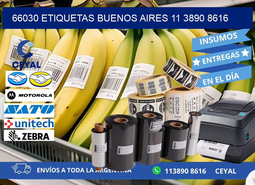 66030 ETIQUETAS BUENOS AIRES 11 3890 8616