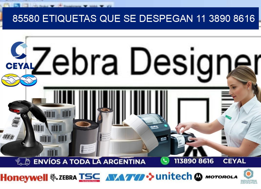 85580 ETIQUETAS QUE SE DESPEGAN 11 3890 8616