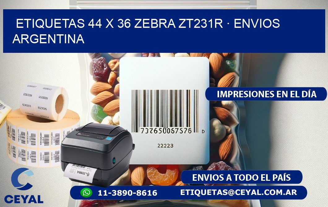 ETIQUETAS 44 x 36 ZEBRA ZT231R · ENVIOS ARGENTINA