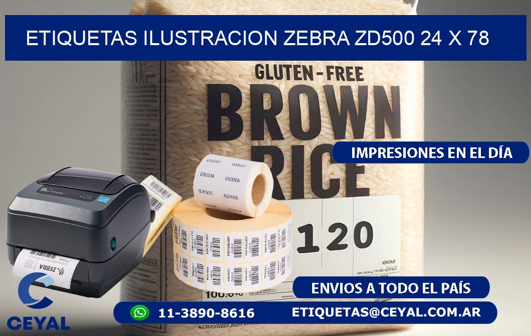 ETIQUETAS ILUSTRACION ZEBRA ZD500 24 x 78