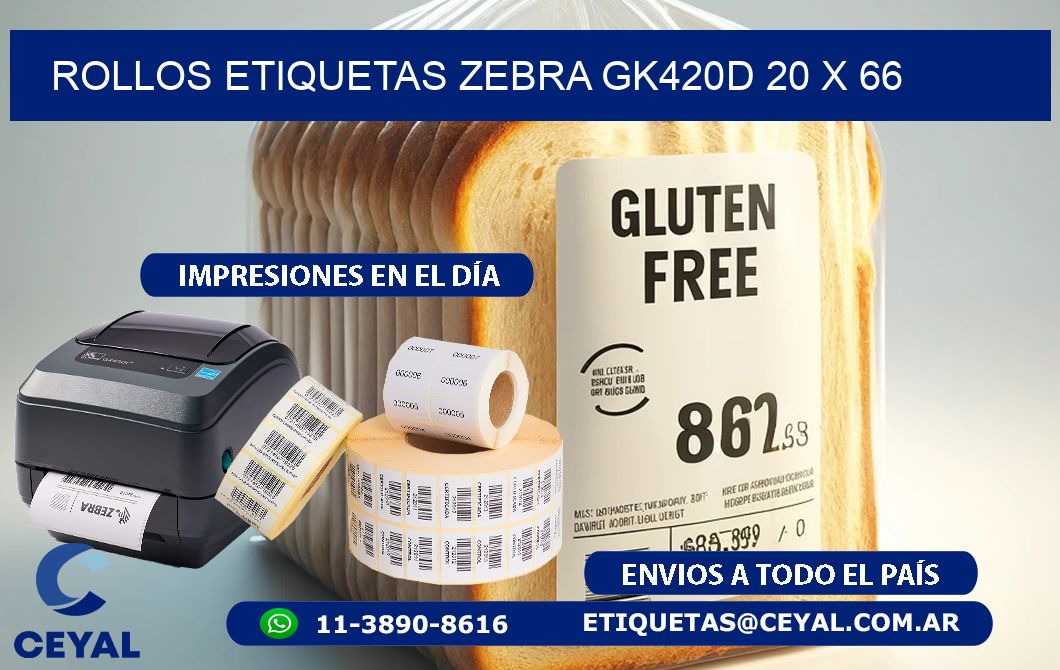 ROLLOS ETIQUETAS Zebra GK420D 20 x 66