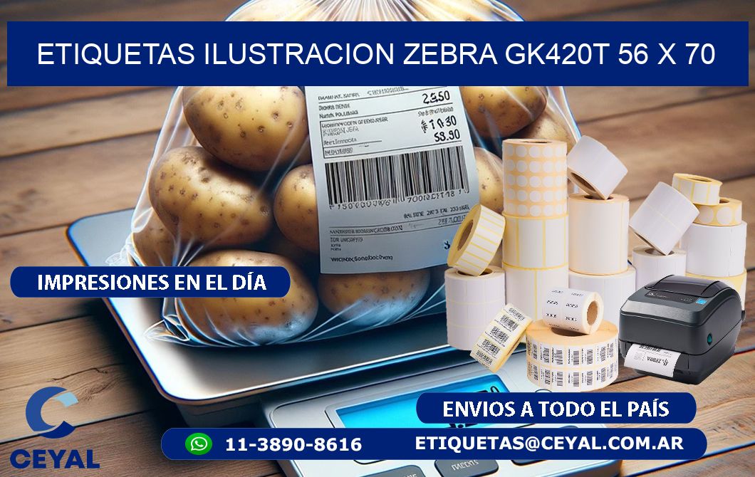 ETIQUETAS ILUSTRACION ZEBRA GK420T 56 x 70