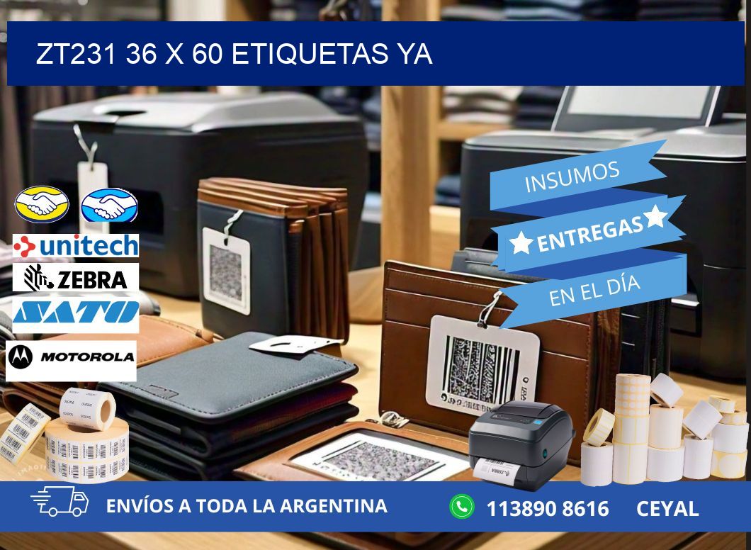 ZT231 36 x 60 ETIQUETAS YA