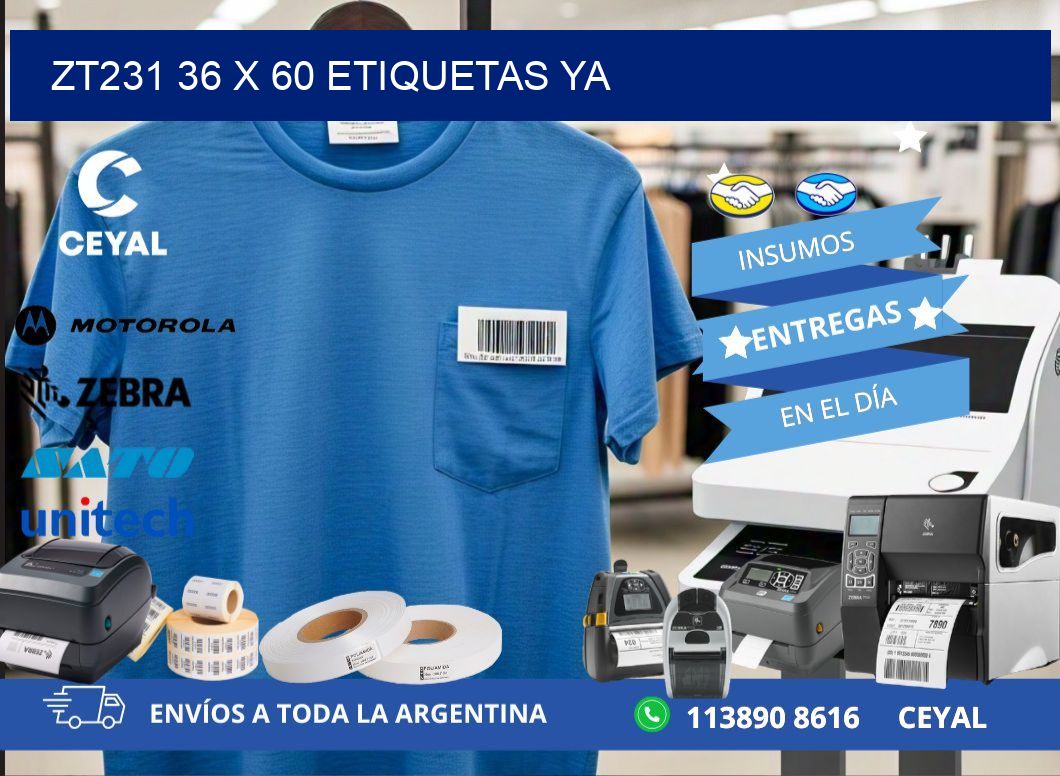 ZT231 36 x 60 ETIQUETAS YA