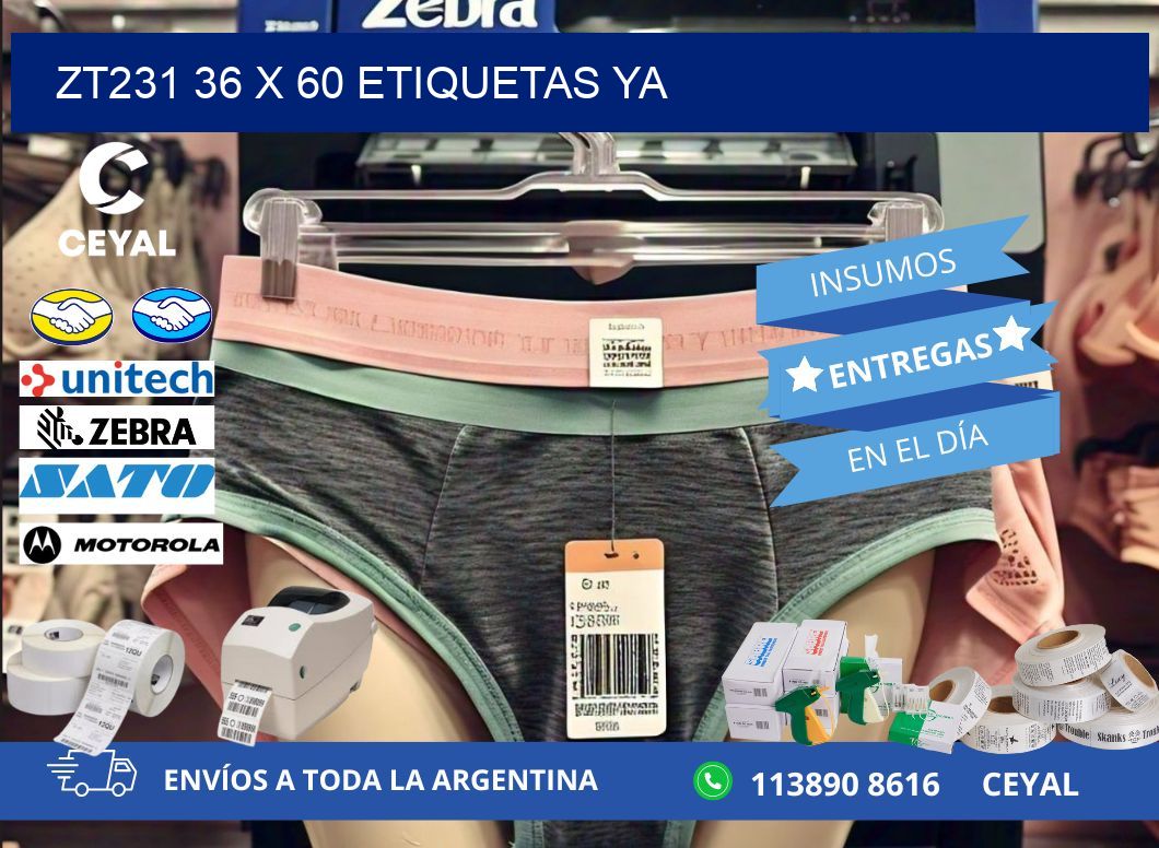 ZT231 36 x 60 ETIQUETAS YA