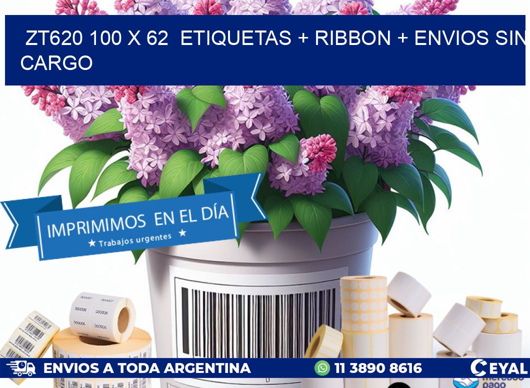 ZT620 100 x 62  etiquetas + ribbon + envios sin cargo