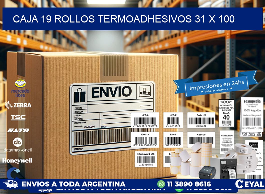 CAJA 19 ROLLOS TERMOADHESIVOS 31 x 100