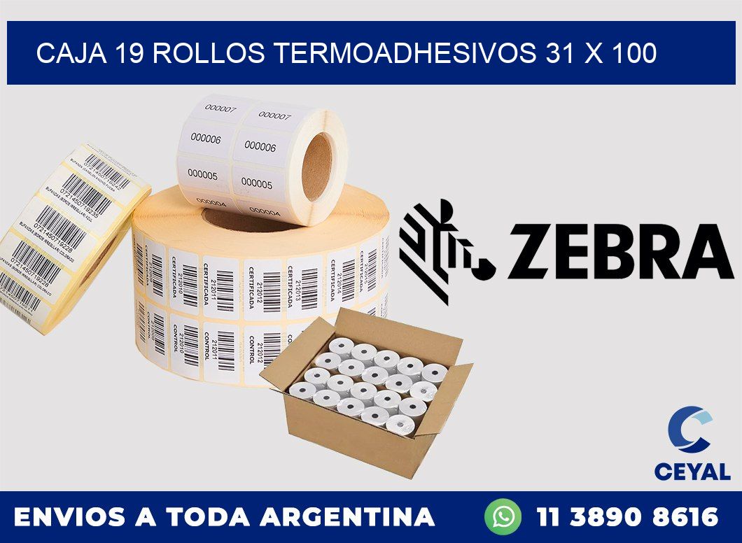 CAJA 19 ROLLOS TERMOADHESIVOS 31 x 100